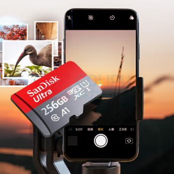 闪迪 SANDISK TF(MicroSD)内存卡 256GB