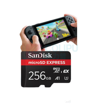 闪迪 SANDISK 内存卡 SDSQXFN-256G-ZN4NN 14.99mmx10.92mmx1.02mm