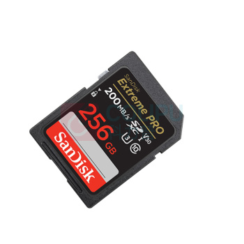 闪迪 SANDISK 内存卡 4K 256g 读速200M/S