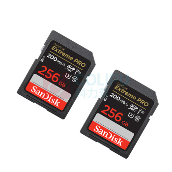 闪迪 SANDISK 内存卡 4K 256g 读速200M/S