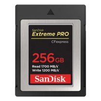 闪迪 SANDISK 存储卡 SDCFE-256G-ZN4NN 读速1700MB/s 写速1200MB/s