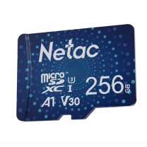 朗科 Netac TF卡 P500 行业尊享版 256GB