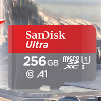 闪迪 SANDISK TF存储卡 SDSQUNI-256G-ZS3MN 256GB