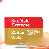 闪迪 SANDISK 内存卡 SDSQXA1-256G-ZN6MA 256GB