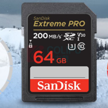 闪迪 SanDisk 存储卡 64GB 高清 