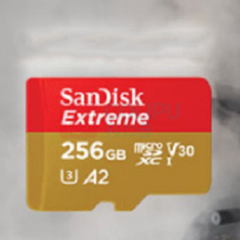 闪迪 SANDISK TF存储卡 SDSQXA1-256G-ZN6MA 256G 