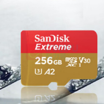 闪迪 SANDISK TF存储卡 SDSQXA1-256G-ZN6MA 256G 