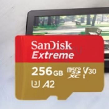闪迪 SANDISK 存储卡 SanDisk闪迪 运动相机TF卡 256G (本色)