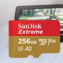 闪迪 SANDISK 存储卡 SanDisk闪迪 运动相机TF卡 256G (本色)