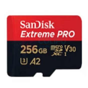 闪迪 SANDISK SD卡 迷你 