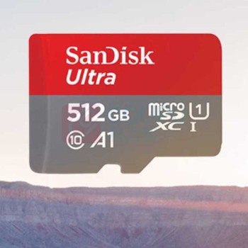 闪迪 SANDISK 内存卡 C55 512G 