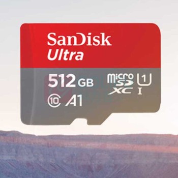 闪迪 SANDISK 内存卡 C55 512G 