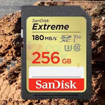 闪迪 SANDISK 闪迪256GB SD存储卡 SDSDXV5-256G-ZNCIN 