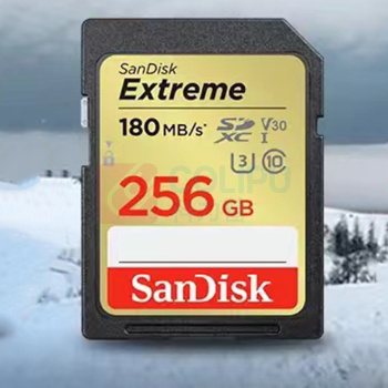 闪迪 SANDISK 闪迪256GB SD存储卡 SDSDXV5-256G-ZNCIN 