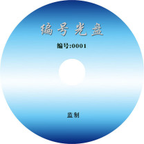 圣华 光盘/刻录盘 空白光盘 DZ112 4.7GB (特殊定制)