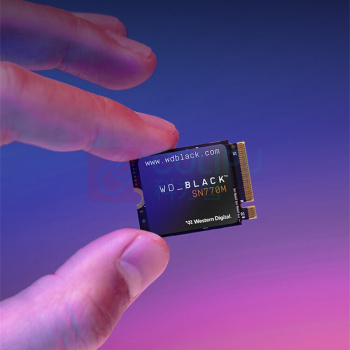 西部数据 WD SSD固态硬盘 M.2接口 SN770M PCle4.0 2230 NVMe 500GB