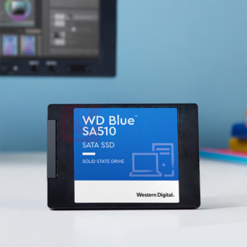 西部数据 WD SA510 SSD固态硬盘 SATA3.0接口 WDS500G3B0A Blue系列-3D进阶高速读写版