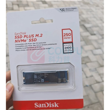 闪迪 SANDISK 固态硬盘 SDSSDA3N-250G-G26 PLUS性能加强版,240-256GB