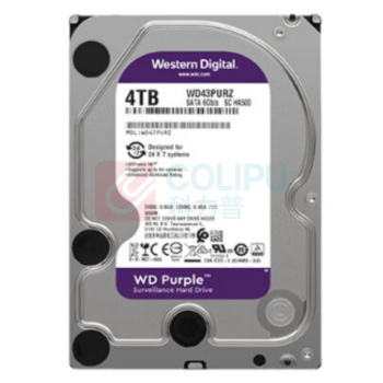 西部数据 WD 监控专用盘 DS63HKVS-78 6T