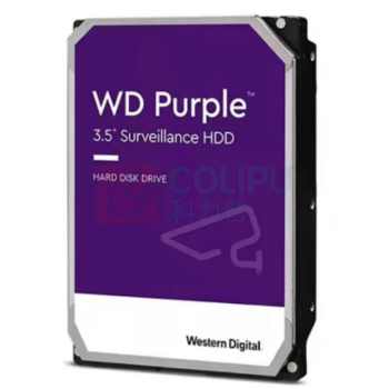 西部数据 WD 监控专用盘 DS63HKVS-78 6T