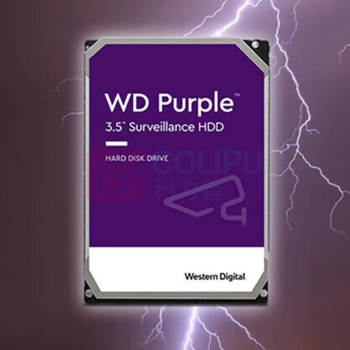 西部数据 WD 监控硬盘 WD85PURZ
