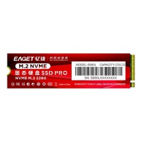 忆捷 EAGET SSD固态硬盘 S900L 256GB M.2接口 NVME协议 2280