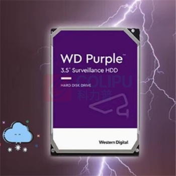 西部数据 WD 监控级机械硬盘 西数紫盘 4TB CMR垂直 256MB SATA (WD43PURZ)