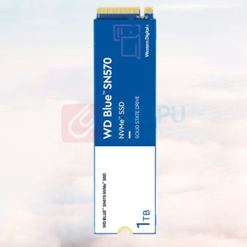 西部数据 WD SSD固态硬盘 WDS200T3B0C 2TB  (WD) Blue SN570 NVMe SSD固态硬盘 M.2接口(NVMe协议)