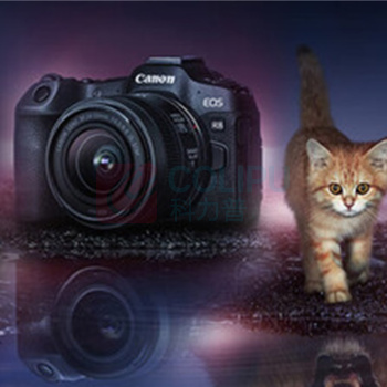 佳能 CANON 数码相机 EOS R8 含电池2块, 256G/512G内存卡 2470mm 光圈2.8镜头