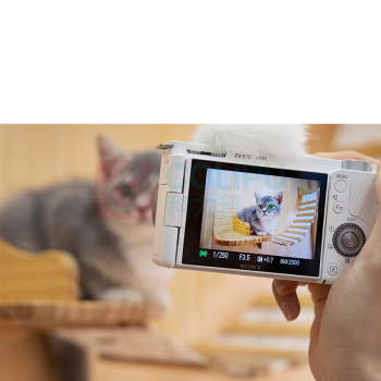 索尼 SONY 黑色 Vlog微单数码相机 ZV-E10L (16-50) 套机 ZV-E10 