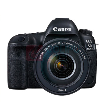佳能 CANON 单反相机 EOS 5D Mark Ⅳ 5D4 单反套机 全画幅(EF 24-105mm f/4L IS II USM 单反镜头)