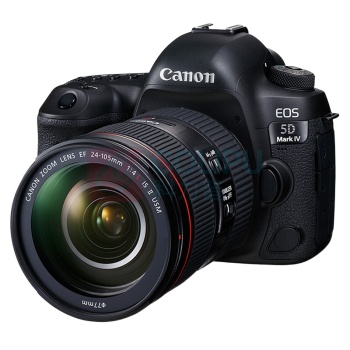 佳能 CANON 单反相机 EOS 5D Mark Ⅳ 5D4 单反套机 全画幅(EF 24-105mm f/4L IS II USM 单反镜头)