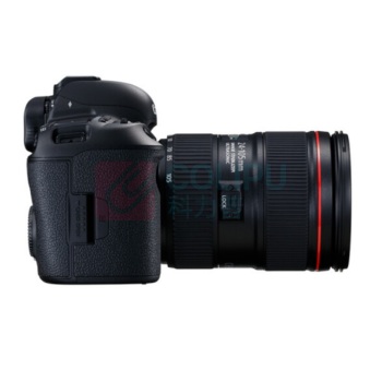 佳能 CANON 全画幅数码单反照相机 EOS 5DMarkIV 5D4 24-105镜头套机  含256G卡+包+滤镜+脚架+电池