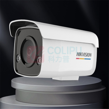 海康威视 HIKVISION 人车识别支持录音POE网线供电摄像头 焦距4MM ，摄像机 3T87WD-L (白色)