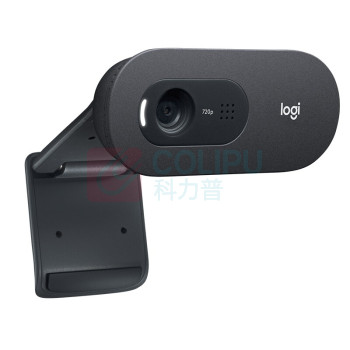 罗技 Logitech 摄像头 笔记本台式机电脑视频直播商务会议摄像头 C505E 高清网络 