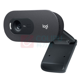 罗技 Logitech 摄像头 笔记本台式机电脑视频直播商务会议摄像头 C505E 高清网络 