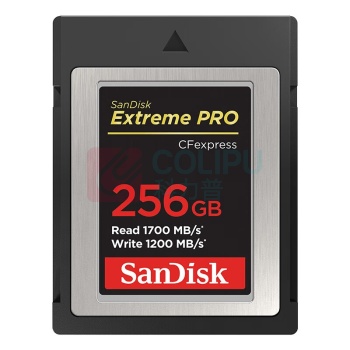 闪迪 SANDISK 内存卡CFexpress Type B 256G 读1700MBs 写1200MBs