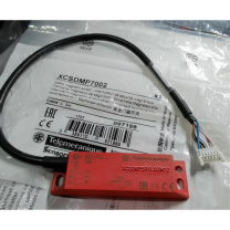 施耐德电气 Schneider Electric 安全开关 XCSDMP591L02M12 