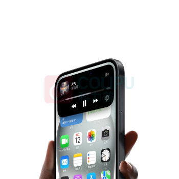 苹果 Apple iPhone 15 手机 A3092 256GB (黑色)