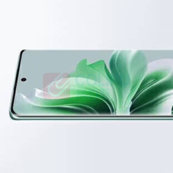 OPPO 手机 Reno 11 Pro 12GB+256GB