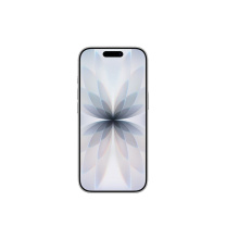 苹果 Apple 手机 iPhone 17 256GB