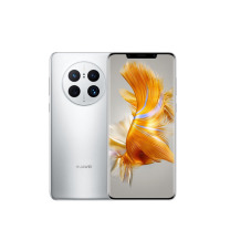 华为 HUAWEI Mate 50 Pro手机 Mate 50 Pro 256GB (冰霜银)