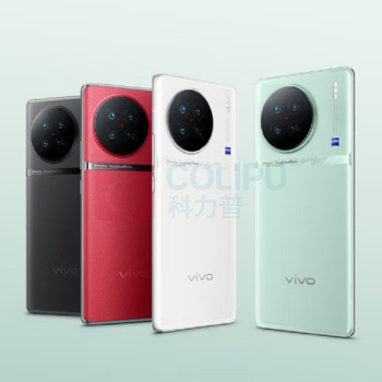 vivo 移动通讯设备 X90S 12+512G 