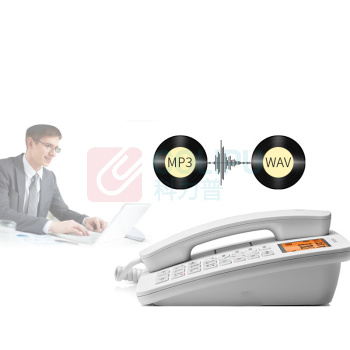摩托罗拉 MOTOROLA 电话机 CT111C 16G卡,可扩展至32G,白色,办公家用电销商务客服电话呼叫中心 (白色)