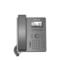 纽曼 Newmine IP电话机 HL2008TSD-748(R) 黑白液晶屏 (黑色) 2个SIP账号