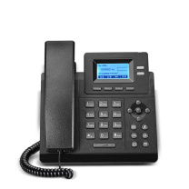 纽曼 Newmine IP电话机 HL2008TSD-218(R) 2个SIP账号 (黑色) 五方会议