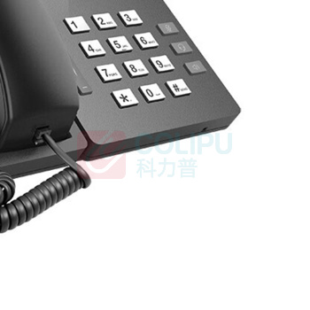 纽曼 Newmine IP录音电话 HL2008TSD-778(R) 录音1120小时 (黑色)