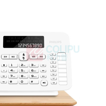 飞利浦 PHILIPS 无绳电话机 DCTG496 一拖一 (白色)