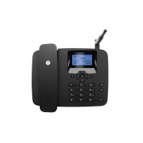 摩托罗拉 MOTOROLA 无线电话 FW400LCM 