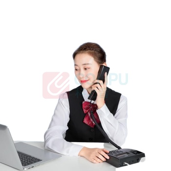 山泽 SAMZHE 4芯多股6P4C纯铜 电话线 DH-4003L 3米
